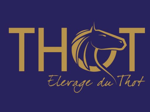 Logo pour elevage chevaux