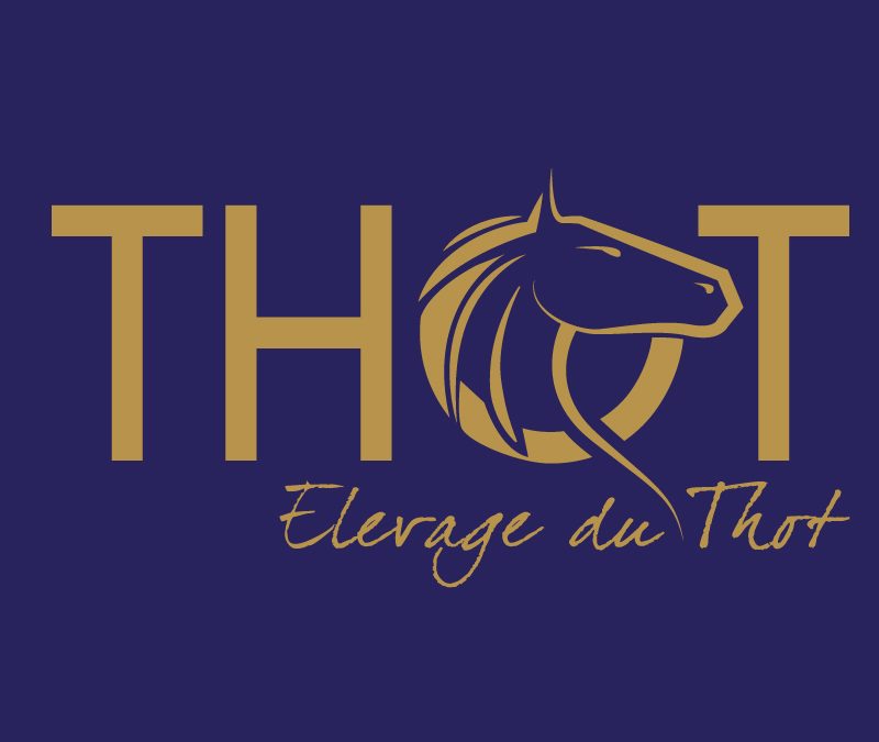 Logo pour elevage chevaux