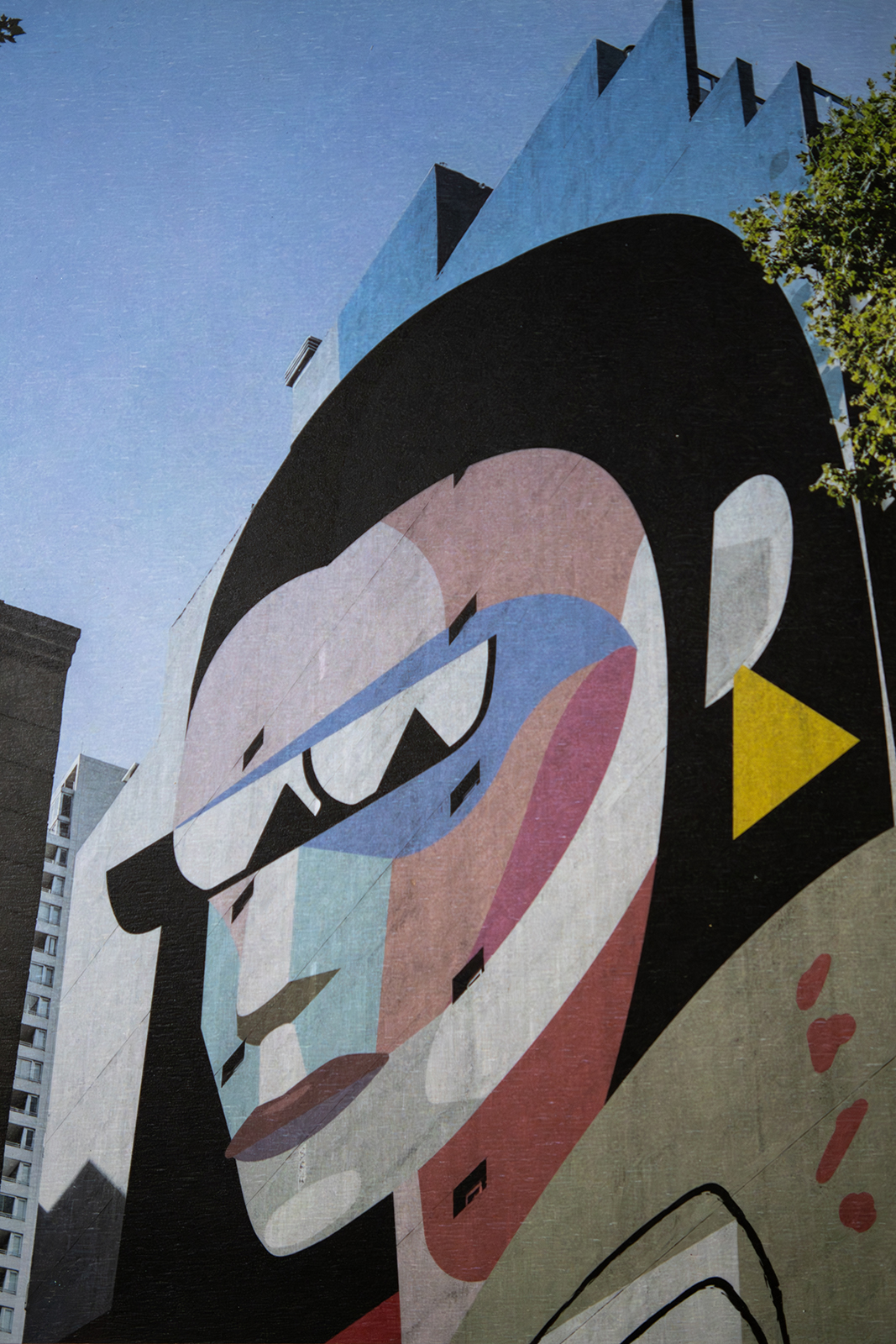 Cadre fluo impression HD sur bois portrait femme street art – Image 2